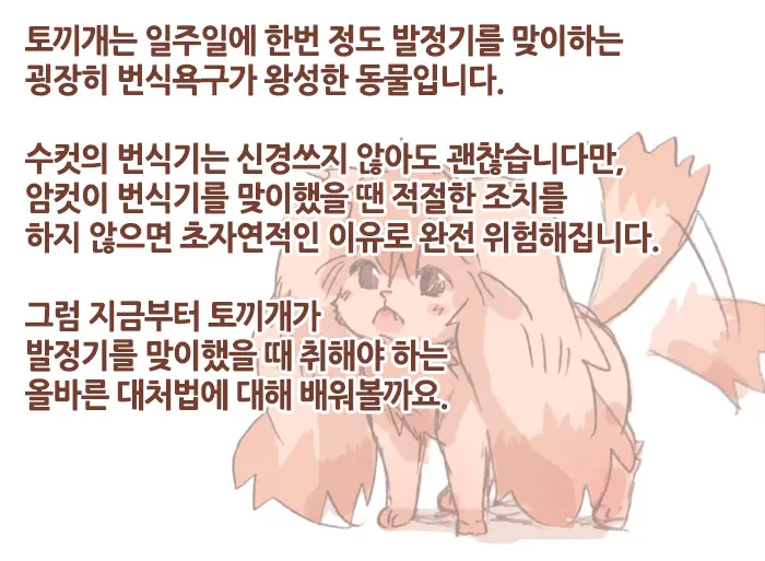 Hatsujouki No Usagiinu ☆Tadashii Taishohou☆ | 발정기인 토끼개한테 올바르게 대처하는 방법